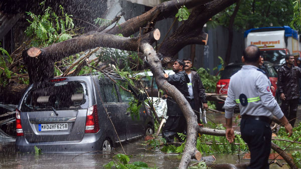 প্রবল বর্ষণে মুম্বইয়ে দেওয়াল চাপা পড়ে মৃত ২১, আহত ৭৪ প্রবল বর্ষণে মুম্বইয়ে দেওয়াল চাপা পড়ে মৃত ২১, আহত ৭৪