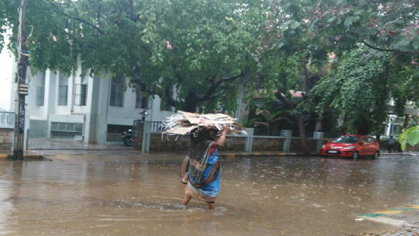 ভাসছে উত্তরবঙ্গ
