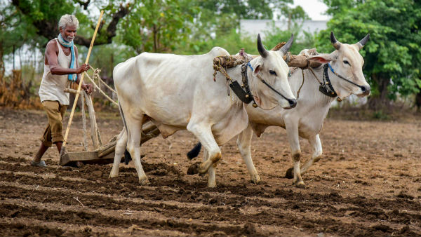 আরও কমবে ভারতের প্রবৃদ্ধির হার