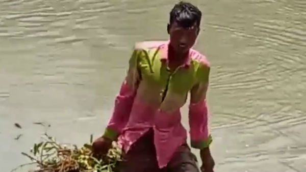 ভরসা জঙ্গলই