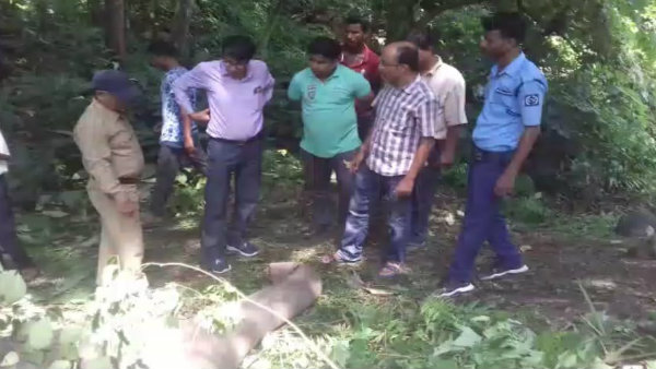 বৌকুন্ঠপুরে তড়িদাহত হয়ে হাতির মৃত্যু বৌকুন্ঠপুরে তড়িদাহত হয়ে হাতির মৃত্যু
