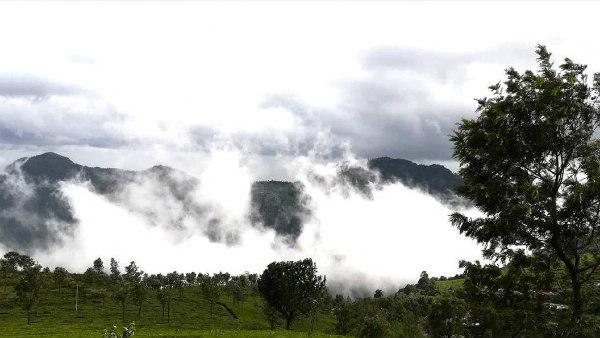 কাশ্মীর ইস্যুতে পাকিস্তান চিনকে পাশে পেয়েছে