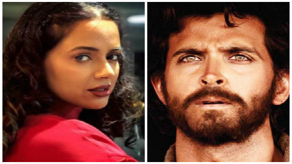 হৃতিকের জন্য পাল্টে গিয়েছে সমীরার জীবন! অভিনেতার কোন গোপন কাহিনি ফাঁস করলেন নায়িকা হৃতিকের জন্য পাল্টে গিয়েছে সমীরার জীবন! অভিনেতার কোন গোপন কাহিনি ফাঁস করলেন নায়িকা