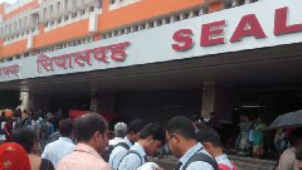 উঠলো বাই তো বনে যাই