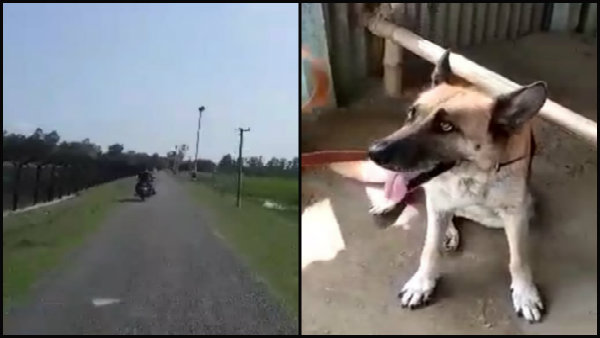 স্বাধীনতা দিবসে নাশকতার আশঙ্কায় তৎপরতা রাজ্যে স্বাধীনতা দিবসে নাশকতার আশঙ্কায় তৎপরতা রাজ্যে