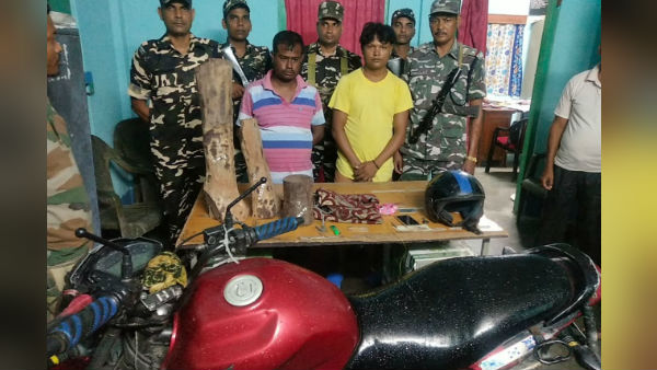 গোপন অভিযানে প্রায় ১৫ কেজি চোরাই লাল চন্দন কাঠ উদ্ধার কালচিনিতে গোপন অভিযানে প্রায় ১৫ কেজি চোরাই লাল চন্দন কাঠ উদ্ধার কালচিনিতে
