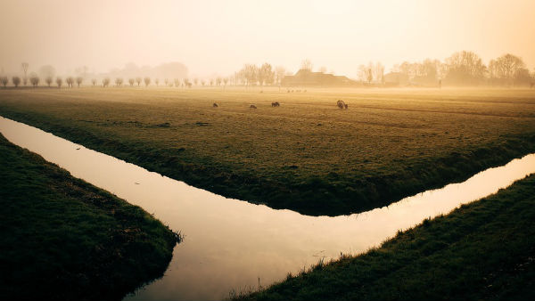 মাটির ক্ষয় হচ্ছে সবচেয়ে বেশি