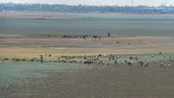 জল সংকট মোকাবিলায় উদ্যোগ প্রধানমন্ত্রী