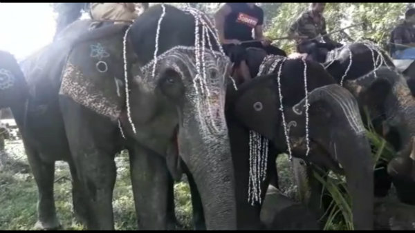 বিশ্বকর্মা পুজো উপলক্ষে জলদাপাড়ায় গজরাজের পুজো বিশ্বকর্মা পুজো উপলক্ষে জলদাপাড়ায় গজরাজের পুজো