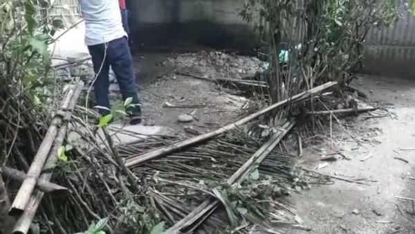 মাদারিহাটে দাঁতাল হাতির হানার ভাঙল ঘরবাড়ি, আতঙ্ক এলাকায় মাদারিহাটে দাঁতাল হাতির হানার ভাঙল ঘরবাড়ি, আতঙ্ক এলাকায়