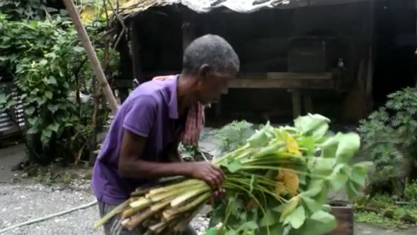 খিদের জ্বালায় পাঁচমাস ধরে কচু শাক খাচ্ছেন কালচিনির চা বাগানের শ্রমিকেরা খিদের জ্বালায় পাঁচমাস ধরে কচু শাক খাচ্ছেন কালচিনির চা বাগানের শ্রমিকেরা