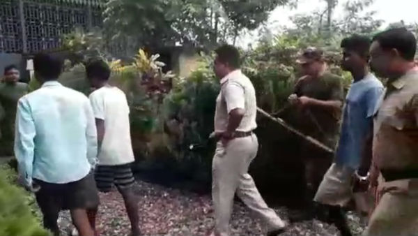 জলপাইগুড়িতে ১৫টি তক্ষক সহ গ্রেফতার ৩ পাচারকারী জলপাইগুড়িতে ১৫টি তক্ষক সহ গ্রেফতার ৩ পাচারকারী