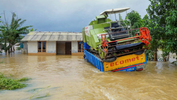 বৃষ্টিতে মৃত্যু বেড়েছে