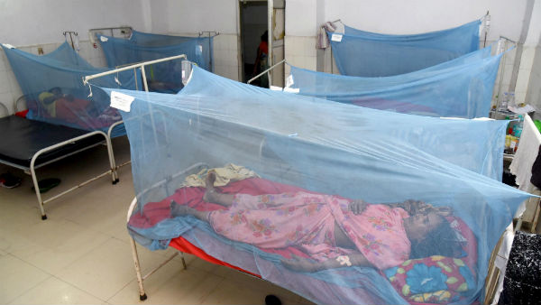 জমা জলেই বাড়ছে ডেঙ্গির মশা
