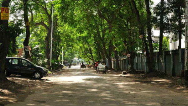 সঙ্কুচিত হতে শুরু করেছে সল্টলেক