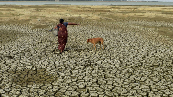 অন্যান্য অঞ্চলের তুলনায় ৮ গুণ বাড়তে পারে ওড়িশার তাপমাত্রা