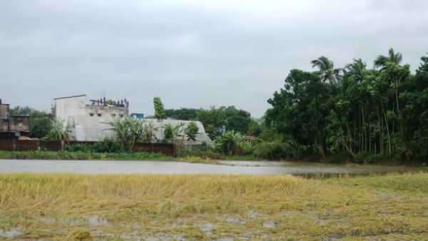 শীতলাকীন সবজির ক্ষতি