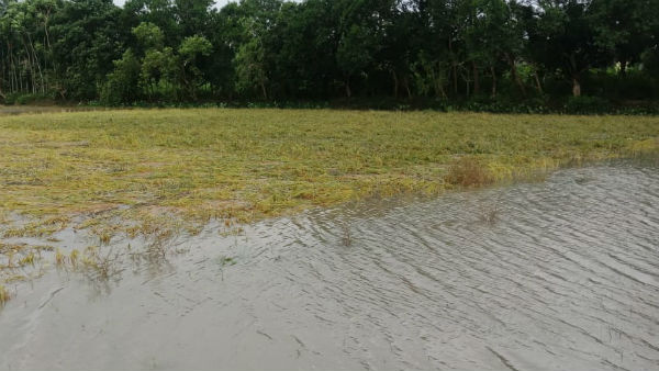 ক্ষতিগ্রস্ত প্রায় ৩ লক্ষ মানুষ