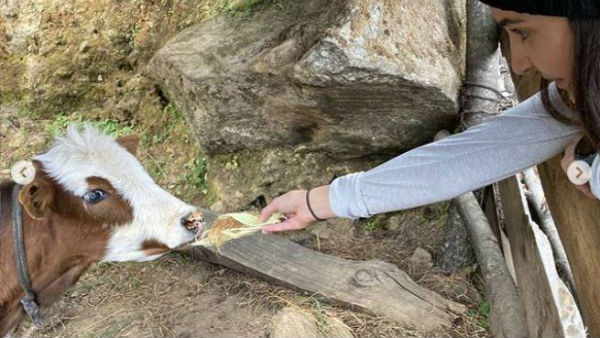 শুভ জন্মদিন বিরাট, ৩১ শে পা দিলেন ভারত অধিনায়ক