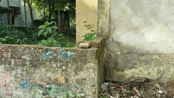 ময়লার ভ্যাট থেকে উদ্ধার তাজা বোমা, চাঞ্চল্য সোদপুরের অপূর্বনগরে ময়লার ভ্যাট থেকে উদ্ধার তাজা বোমা, চাঞ্চল্য সোদপুরের অপূর্বনগরে