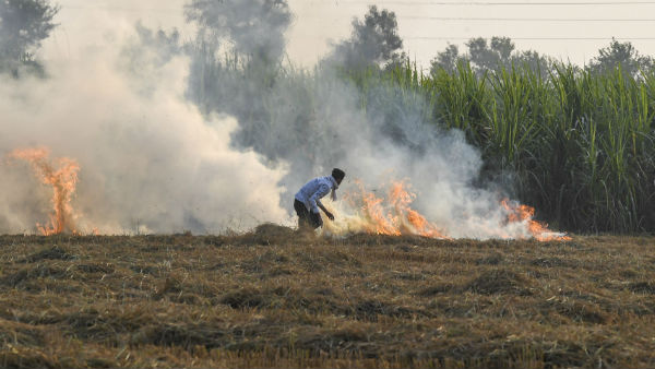 “খড় পোড়ানো একটি সংগঠিত অপরাধ” : সুপ্রিম কোর্ট