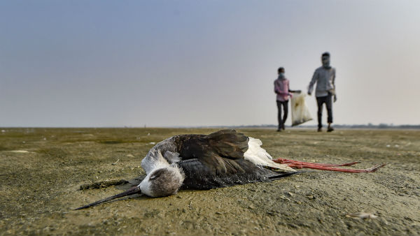 উৎপাদন থমকে যাওয়ার আশঙ্কা