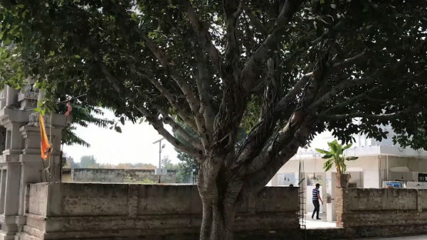কানপুরের দশানন মন্দির