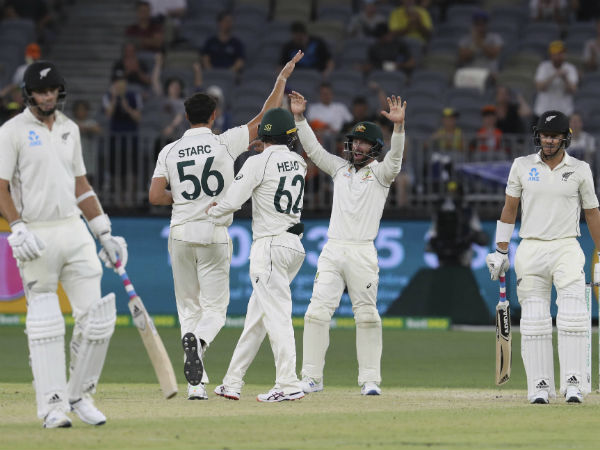নিউজিল্যান্ডের পারফর্ম্যান্স