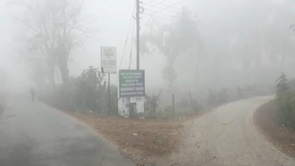 ঘন কুয়াশায় ঢাকা ডুয়ার্স, ঠান্ডায় জবুথবু বাসিন্দারা ঘন কুয়াশায় ঢাকা ডুয়ার্স, ঠান্ডায় জবুথবু বাসিন্দারা