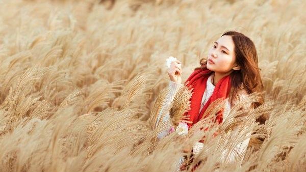অক্টোবর থেকে ডিসেম্বর