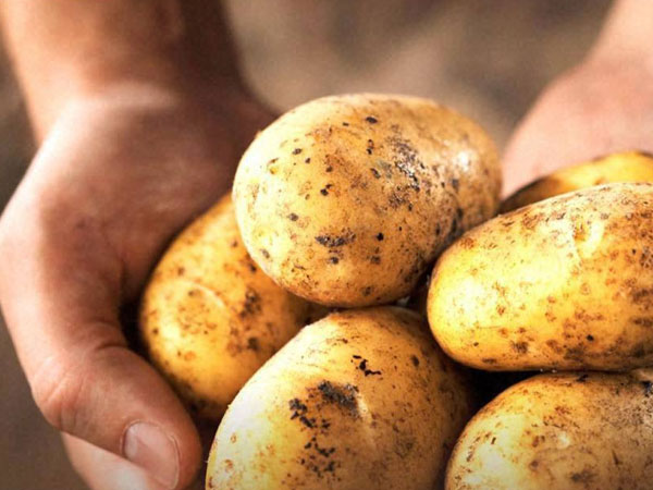 তিনটি সবজি নিয়ে চিন্তা