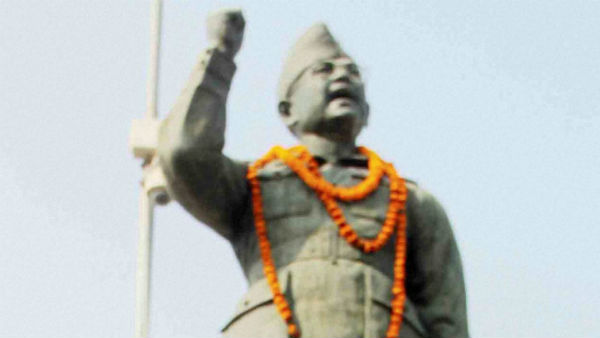 বেঁচে থাকা আর টিকে থাকার মধ্যে পার্থক্য