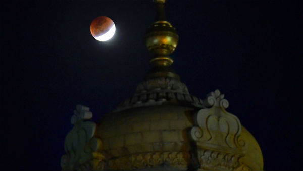 তুলসী রাখুন সঙ্গে
