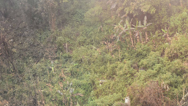 প্রাচীন ভারতের কিছু অজানা তথ্য
