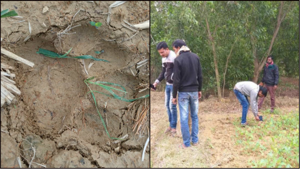 বাঁকুড়া, ঝাড়গ্রামে পাওয়া পায়ের ছাপ বাঘেরই, এলাকায় আতঙ্ক বাঁকুড়া, ঝাড়গ্রামে পাওয়া পায়ের ছাপ বাঘেরই, এলাকায় আতঙ্ক