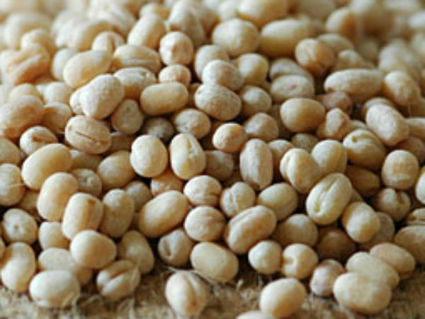 ২০১৯ সালে খরিফ শস্যে চরম ক্ষতি