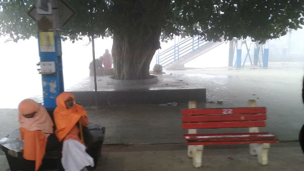 উত্তরবঙ্গে কুয়াশার দাপটে জাঁকিয়ে শীত উত্তরবঙ্গে কুয়াশার দাপটে জাঁকিয়ে শীত
