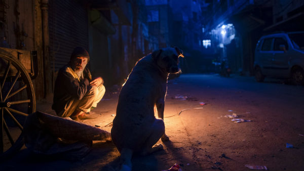 কুকুর সরাতে পদক্ষেপ