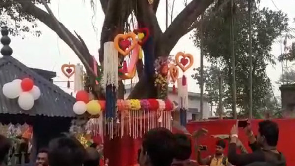 হইচই করে, পাত পেড়ে খেয়ে বট-পাকুড়ের বিয়ে দিল কালিয়াগঞ্জ হইচই করে, পাত পেড়ে খেয়ে বট-পাকুড়ের বিয়ে দিল কালিয়াগঞ্জ