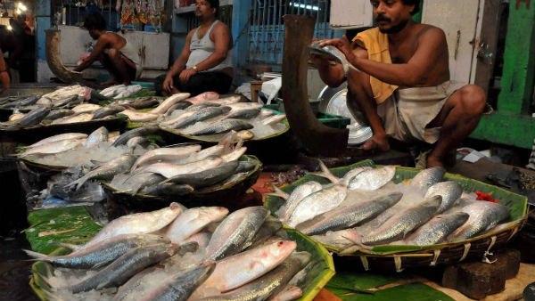 লোকসানের মুখে মৎস্যজীবীরা