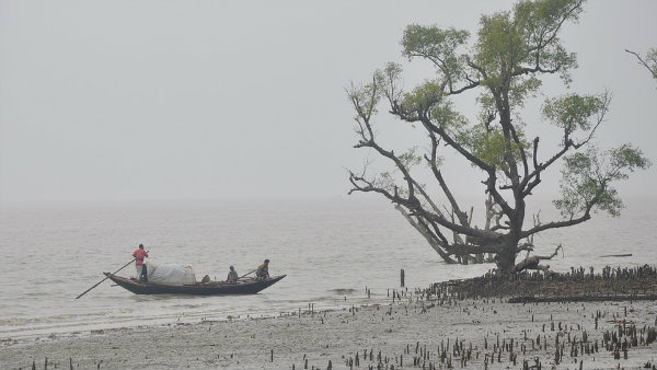 নামকরণ