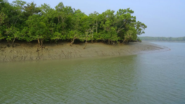 ভৌগলিক গঠন