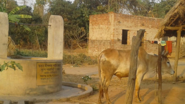 উন্নয়ন ও পরিকল্পনা রূপায়নের নিরিখে পুরস্কার