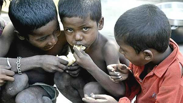 কী বলছে তথ্য