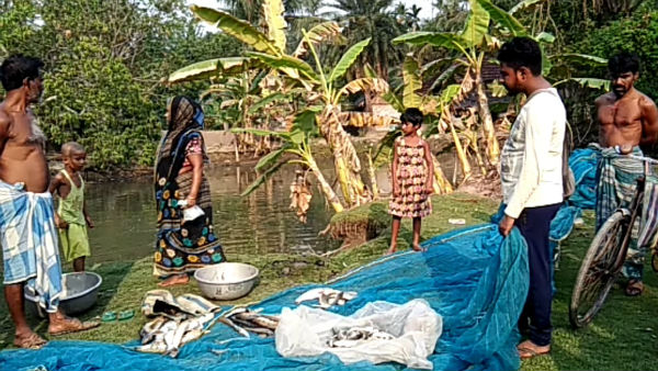 লকডাউনে ক্রিকেট খেলায় বাধা, বদলা নিতে পুকুরে বিষ ঢেলে মাছ মারার অভিযোগ লকডাউনে ক্রিকেট খেলায় বাধা, বদলা নিতে পুকুরে বিষ ঢেলে মাছ মারার অভিযোগ
