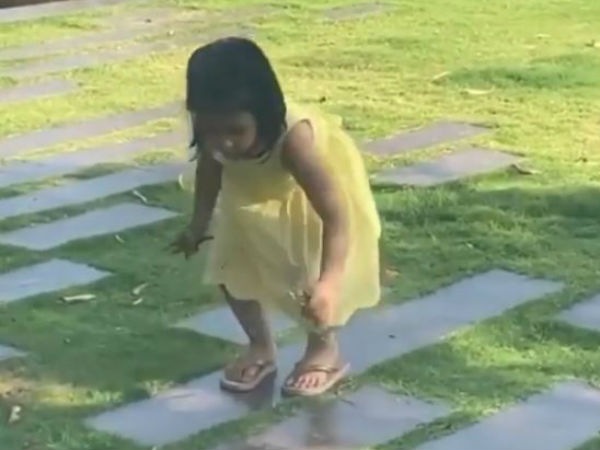 জিভার কাণ্ড