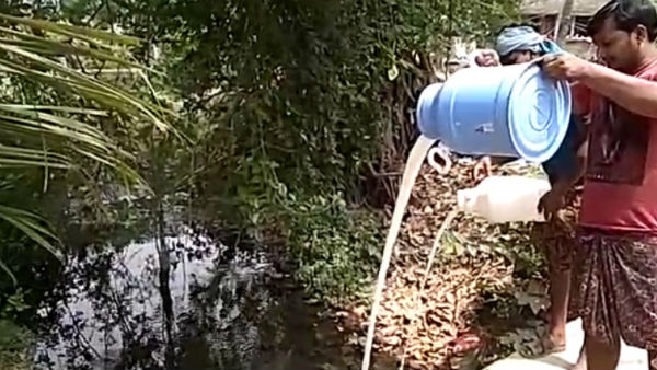 লকডাউনের জের; রপ্তানি করতে না পেরে দুধ ফেলতে হচ্ছে নর্দমায়, মাথায় হাত দুধ ব্যবসায়ীদের লকডাউনের জের; রপ্তানি করতে না পেরে দুধ ফেলতে হচ্ছে নর্দমায়, মাথায় হাত দুধ ব্যবসায়ীদের