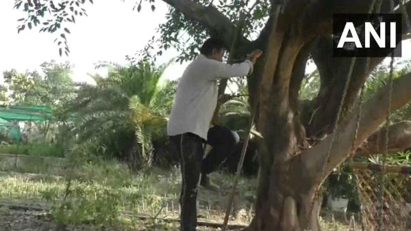 সামাজিক দুরত্ব বজায় রাখতে গাছের ওপর অস্থায়ী বাসা