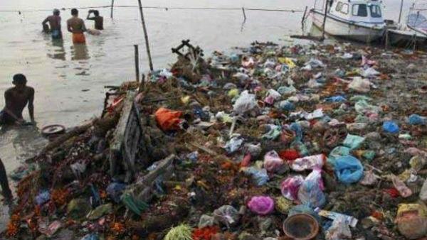 গঙ্গাদূষণে শুশুকরা বিপন্ন