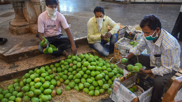 এদিকে করোনার থাবা প্রবল